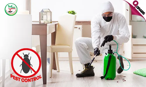 Professional Pest Control Services!